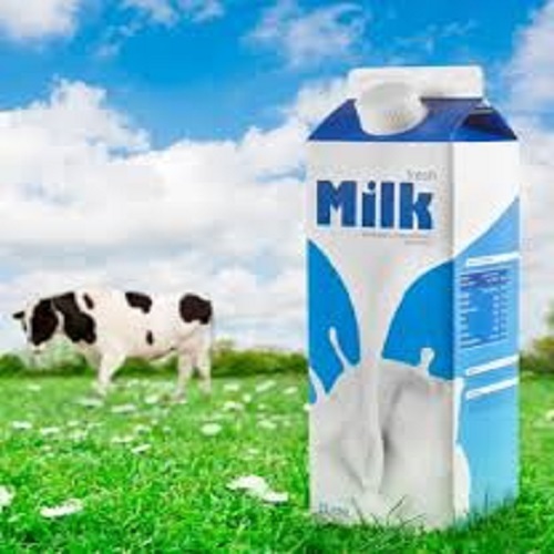 Pure And Nutrient Rich Fresh Cow Milk