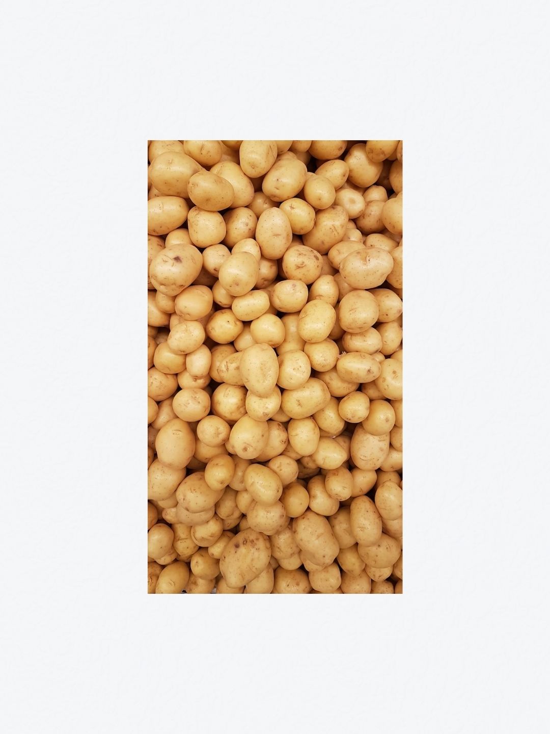 Quality Potatoes