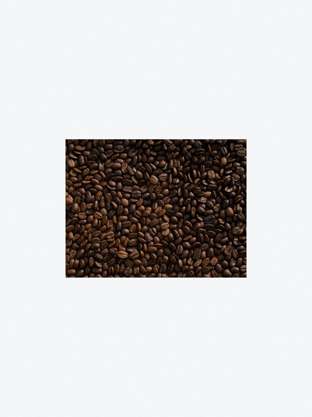 Arabica Coffee Beans