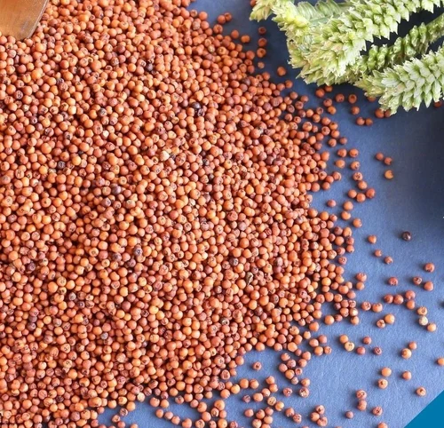 Ragi (Finger Millet)
