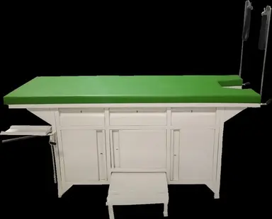 Gynae Examination Couch