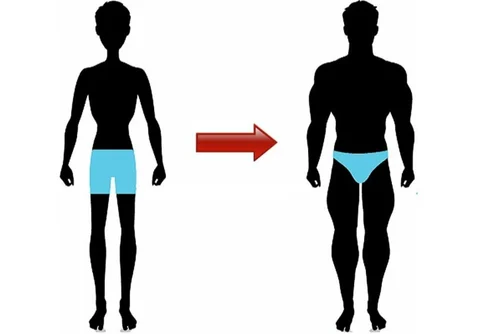 Weight Maintain Training Service