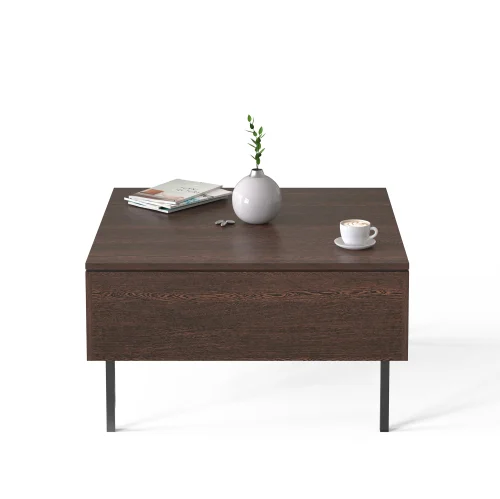 Kasvon Coffee Center Sofa Tea/Teapoy Console Table with Storage Box (Square )