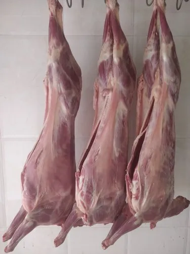 FRESH FROZEN MUTTON CARCASS