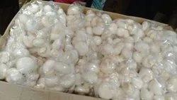 Washed button mushroom