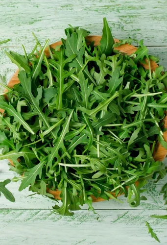 Fresh Arugula Leaves