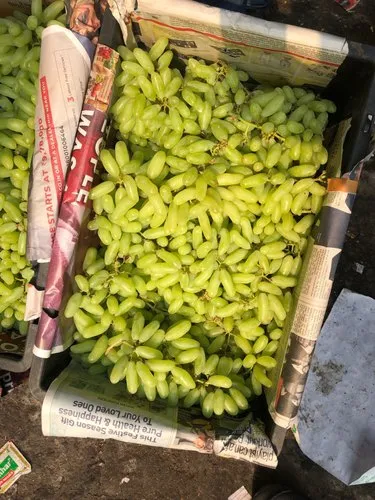 Fresh Green Grapes