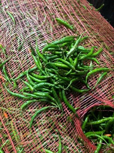 Green Chillies Hari Mirch