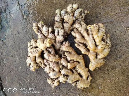 Fresh Ginger