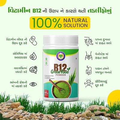 B12 GREEN FOOD POWDER