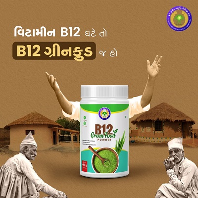 B12 GREEN FOOD POWDER 250G