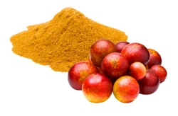 Camu Camu Extract