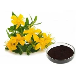 St John's Wort Extract