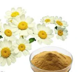 Feverfew Herbal Extract