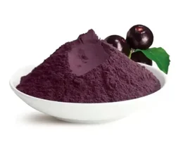 Acai Berry Fruit Powder