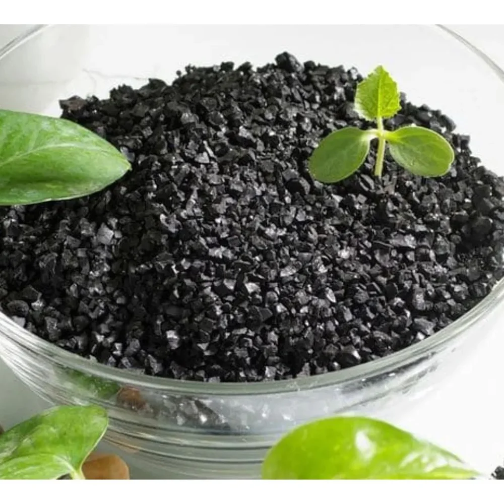 Natural Shilajit Extract