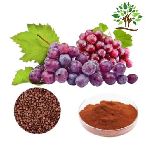Grapeseed Extract Powder