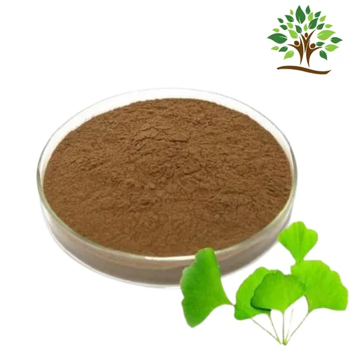 Ginkgo Biloba Herbal Extract Powder