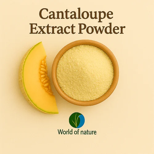 Cantaloupe Extract Powder