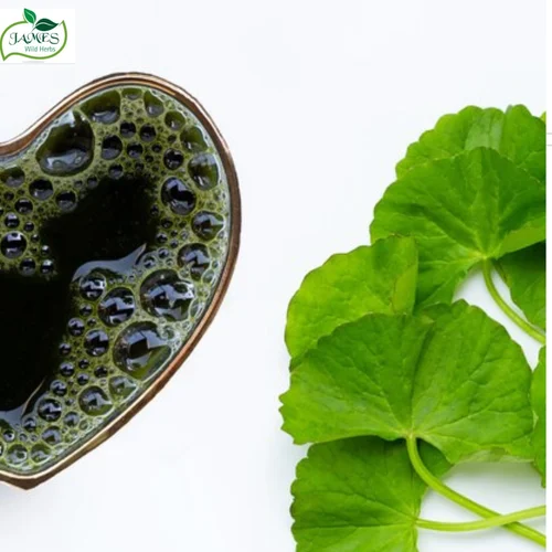 Green Coffee Bean Liquid Extract