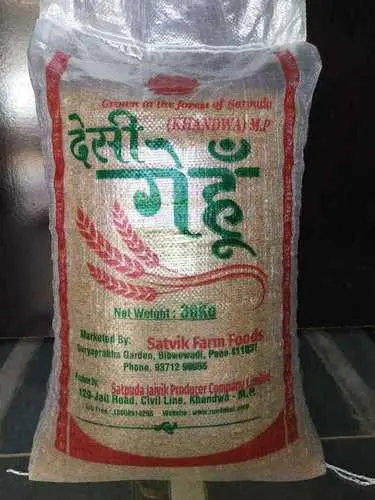 Sharbati wheat