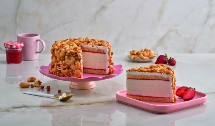 Ice Cream Cakes