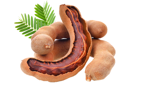 Tamarind Concentrate