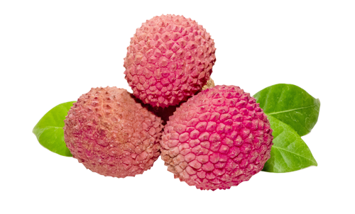 Litchi Pulp